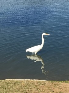 IMG_4089