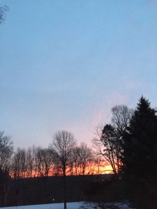 IMG_4036