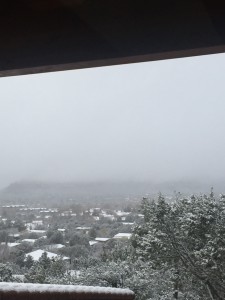 IMG_4152