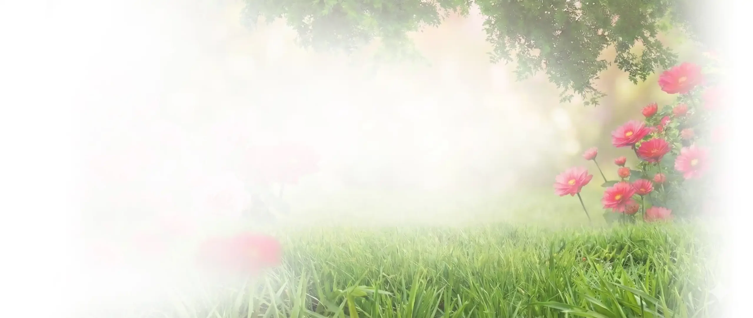 Background image, grass and flowers